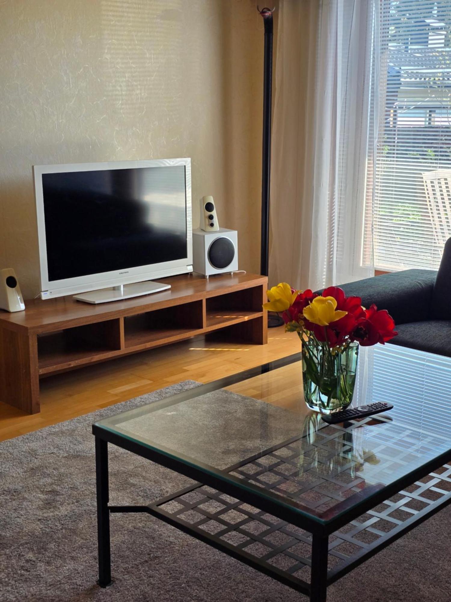 Anttoninvahe 7 130M2 With Garden And Sauna Etc راوما المظهر الخارجي الصورة